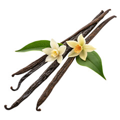 Vanilla beans and flowers isolated on transparent background