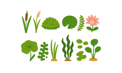 Aquatic plants flat icon set. water plants, leaves, and nature icons collection