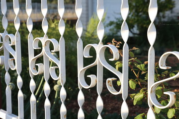 Metal curly fence in the park
