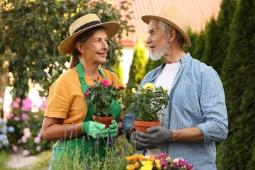 Happy senior couple in gloves and hats with potted roses in garden