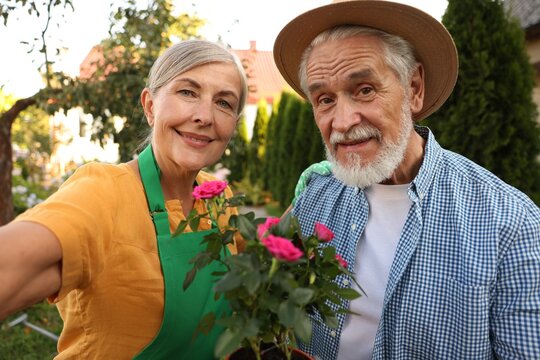 Happy senior couple with potted plant taking selfie in garden