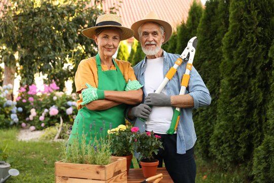 Happy senior couple in gloves and hats in garden