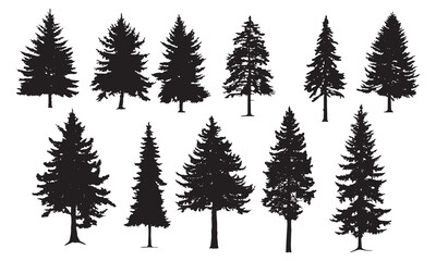 Obraz premium Collection of silhouette evergreen pine and fir trees for winter forest scenes white background