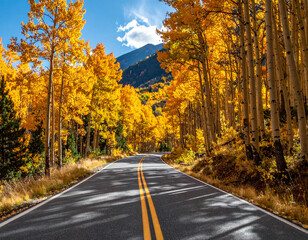 Fototapeta premium Country Road Autumn Forest Valley Golden Trees Travel Photography
