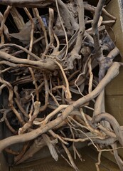 Collection of Driftwood for Aquarium Design A bundle of natural driftwood pieces collected together, commonly used for aquarium decoration and aquascaping