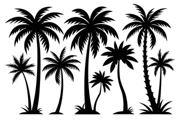 Fototapeta premium palm trees silhouette