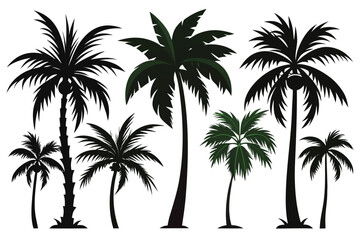 palm trees silhouettes