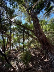 Beaches of Coromandel New Zealand