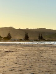 Beaches of Coromandel New Zealand