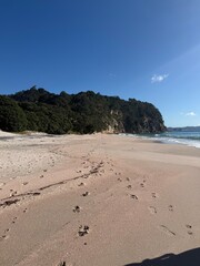 Beaches of Coromandel New Zealand