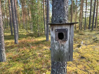 wooden bird house