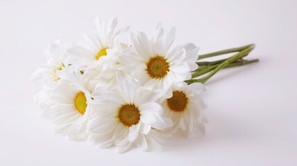 Fototapeta premium Simple white daisy bouquet on pure white background, professional studio photography with soft shadow