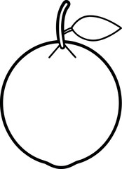 Yuzu Fruit Line Drawing with Leaf and Stem Outline