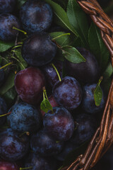 Ripe blue plums in a basket