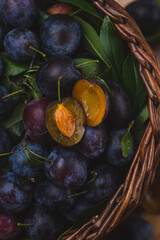 Obraz premium a plum cut in half lies on top of other whole plums