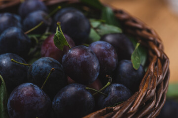 Ripe blue plums in a basket