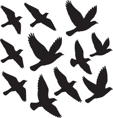 bird illustration