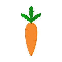 vector illustration of a carrot