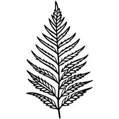 Naklejka premium Elegant Fern Outline Vector Design