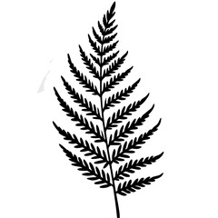 Elegant Fern Outline Vector Design