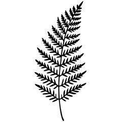 Elegant Fern Outline Vector Design