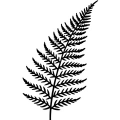 Elegant Fern Outline Vector Design