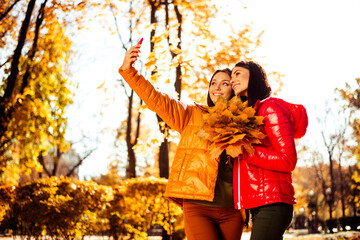 Two friends taking a selfie in an autumn park surrounded by golden foliage, enjoying the season in...