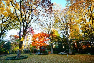 秋の公園
