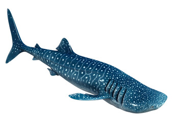 3D Rendering Whale Shark on White