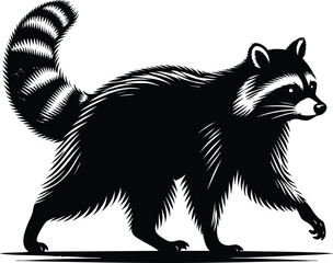 A walking Raccoon animal silhouette vector illustration isolated on white background