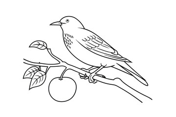 Starling perched on branch with plum bird fruit
