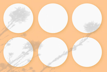 Natural light casts shadows from wildflowers on 6 round sheets of white textured paper lying on a orange textured background. Mockup
