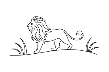 Majestic lion walking through tall grass wild animal