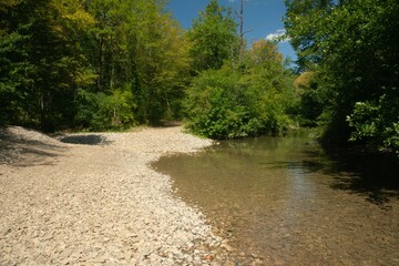 mountain river Urup in deciduous forest in the mountains of Western Caucasus in the south of Russia on a sunny summer day