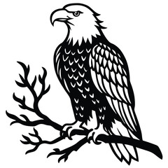 Bald Eagle Flying Soon Eagle Detailed black-and-white line art of a bald eagle in mid-flight with wings fully spread and talons forward, dynamic perspective, crisp vector-ready ink outlines, high-cont