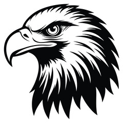 Bald Eagle Flying Soon Eagle Detailed black-and-white line art of a bald eagle in mid-flight with wings fully spread and talons forward, dynamic perspective, crisp vector-ready ink outlines, high-cont