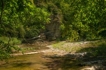 layered limestone rock on the bank of the Urup mountain river in a deciduous forest in the Western Caucasus Mountains in southern Russia on a sunny summer day