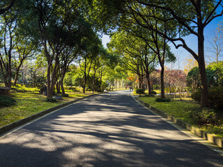 Serene Pathway Through Sunlit Greenery in a Peaceful Urban Park
