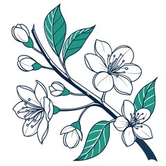 Delicate cherry blossom branch with blooming flowers and buds in outline style