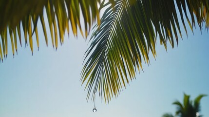 Tropical tranquility: Palm fronds against a clear blue sky with a water droplet falling
