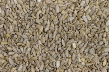 Shelled sunflower seed kernels scattered loosely fiber, iron, phosphorous vitamin E source nutrition.