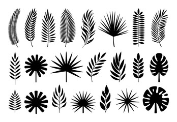 Collection of Black Silhouette Tropical Leaves and Palm Fronds