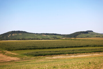 Fototapeta premium Landscape in the Bottwartal valley, Ludwigsburg district, Baden-Württemberg, Germany, Europe