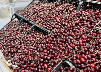 Red ripe cherries, which are used in abundance to make delicious seasonal delicacies and flavors. Bright cherries are beautifully stacked on top of each other, showing off their delicious juiciness
