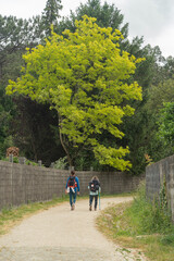 two women walking along the Camino de Santiago