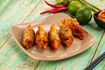 Asian fried stuffed dumplings gyoza