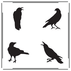 Crow Silhouettes Set - Black Icons of Crows in Various Poses - Vector Illustration for Nature, Birds, and Education