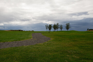Scenic landscape with path, grass, trees, and cloudy sky in Iceland
