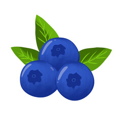 Blueberries with Green Leaves
