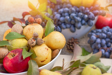 Healthy vegetarian fruits in autumn, bowls full of juicy fruit, autumn harvest